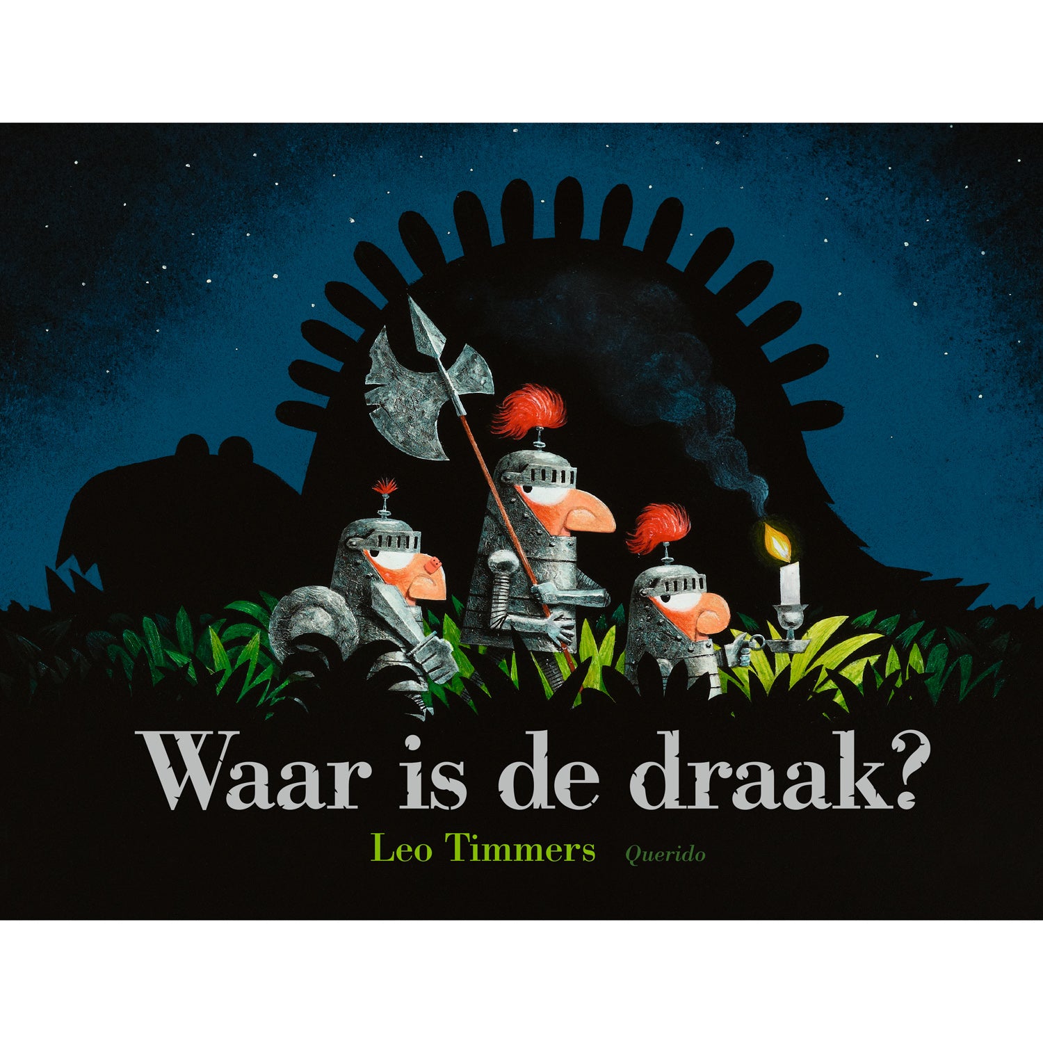 Waar is de draak? - Leo Timmers